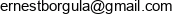 Ebe Uslugi Remontowo Budowlane Ernest Borgula Adres e-mail