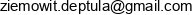 Deptula Consulting Zbigniew Ziemowit Deptula Email address