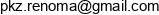 Pracownie Konserwacji Zabytkow Renoma Hanna Rubnikowicz Gozdz Email address