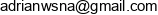 Appsmore Uslugi Informatyczne Adrian Wisniewski Email address