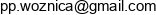 Pw Engineering Piotr Woznica Email address