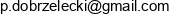 Akademia Inspiracji Pawel Dobrzelecki Email address