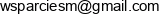 Wendt Sm Adres e-mail