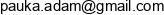 Ap Dev Adam Palka Email address