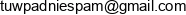 Ebert Studio Email address