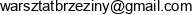 Pini Group Adres e-mail