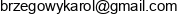 Ainet Karol Brzegowy Email address