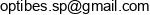 Optibes Pawel Stechnacz Email address