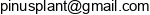 Pinusplant Adres e-mail