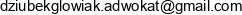 Kancelaria Prawno Kanoniczna Joanna Dziubek Glowiak Email address