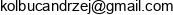 Bestsoft Andrzej Kolbuc Email address