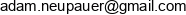 Adam Neupauer F H U Power Adres e-mail