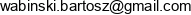 Bartosz Wabinski Wabmet Email address