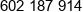 Paltech Phone 1