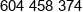 E Podatki Phone 1