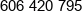 Carpathia Development Phone 1