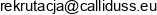 Callidus Group Email address