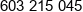 Borek4 Phone 1