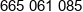 Vipcleaning Phone 1