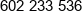 Arimpex Phone 1