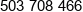 Fabud System Phone 1