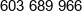 Leszno Gabinet Weterynaryjny Phone 2