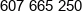 Towarzystwo Inwestycyjne Intrata Phone 1
