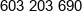 Mapko Phone 1