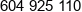 Den Phone 1