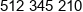 Synapsis Phone