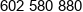 Asd Systems Polska Phone 1