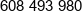 Konsprojekt Phone 1