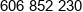 Piomech Phone