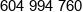 Echo Test Team Phone 1