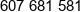 Sltech Phone 1