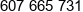 Qrshoper Phone 1