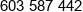 Ibi Group Dvp Phone 1