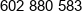 Arodent Adrian Lenkcis Phone 1