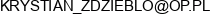 Weglobud Krystian Zdzieblo Email address