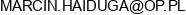 Doradztwo Ubezpieczeniowe Marcin Haiduga Email address