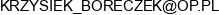 Boreczek Bartosz Przedsiebiorstwo Przemyslowo Handlowo Uslugowe Borex Email address