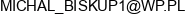 Pke Engineering Michal Biskup Email address