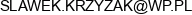 Business Provider Slawomir Krzyzak Adres e-mail Business Provider Slawomir Krzyzak Adres e-mail
