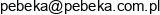 Przedsiebiorstwo Budowy Kopaln Pebeka Email address