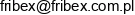 Frib Ex Email 1