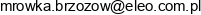 Eleo Budmax Andrzej Bienczak I Wspolnicy Email 1