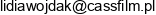 Cass Film Entertainment Group Dariusz Wojdak Email address