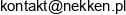 Nekken Consulting Email 1