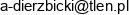 Artur Dzierzbicki Email address