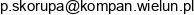 P P Projekt Adres e-mail